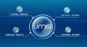 上海互聯(lián)網(wǎng)軟件集團(tuán) 高端協(xié)同管理軟件產(chǎn)品和咨詢服務(wù)提供商